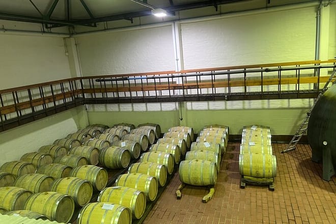 Full Day Wine Tasting Tour in Stellenbosch, and, paarl  - Photo 6