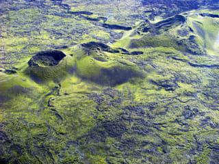 Laki Craters Helicopter Tour from Skaftafell, photo 29