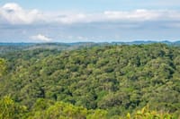 Immersion In An Untouched Ecosystem – Adventurous Full Day Hiking Tour 2