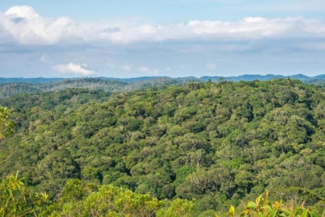 Immersion In An Untouched Ecosystem – Adventurous Full Day Hiking Tour photo 2