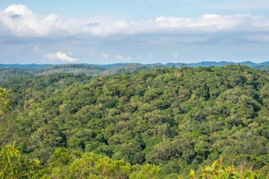 Immersion In An Untouched Ecosystem – Adventurous Full Day Hiking Tour