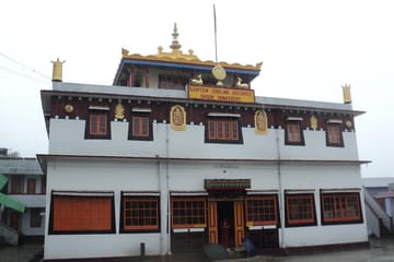 Darjeeling Tea Estate Experience and Cultural Tour