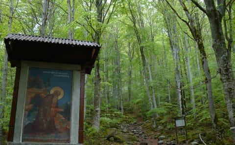 Full Day Tour of Rila Monastery and St. Ivan Cave from Sofia