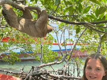 Monkeys and sloth hangout