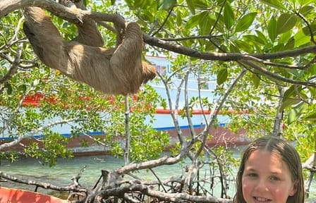 Jungle top Zipline Suspension Bridges, Monkeys and Sloth Hangout