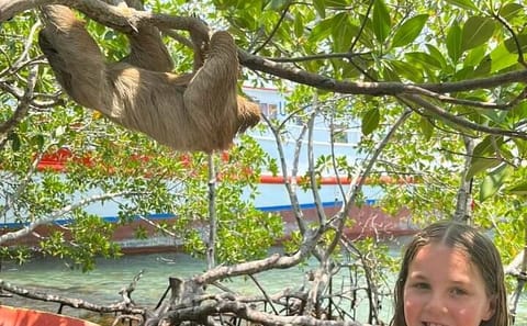 Zipline Adventure and Wildlife Encounter in Coxen Hole