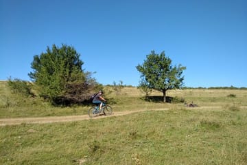 Private Biking Tour from Brașov to Harman in Burzenland