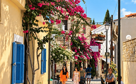 Troodos Village 8-Hour Food and Wine Tour from Ayia Napa