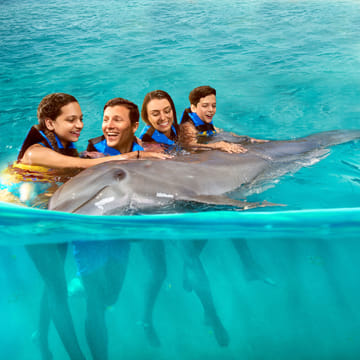 Dolphin Encounter en Cozumel
