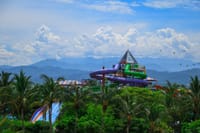 Encuentro con Delfines + Parque Acuático en Puerto Vallarta 10