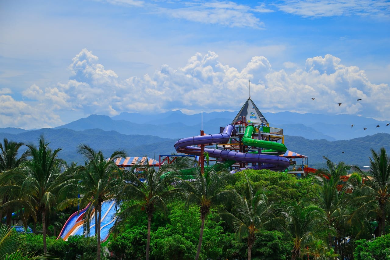 Encuentro con Delfines + Parque Acuático en Puerto Vallarta 10