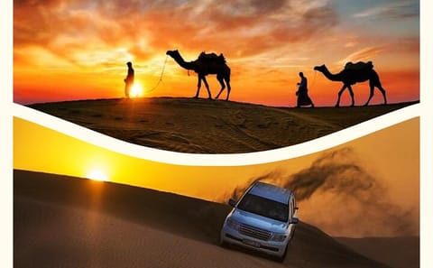 Desert Safari Adventure with Dune Bashing in Doha