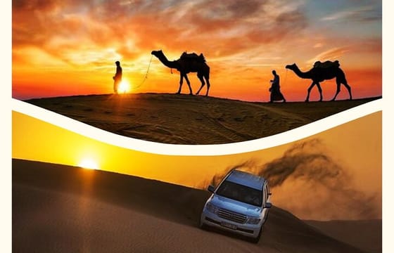 Qatar Sunset Desert Safari: Dune Bashing & Golden Sands Adventure
