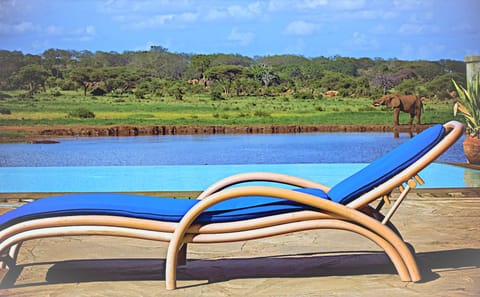 4-Day Safari Adventure from Diani Beach to Amboseli