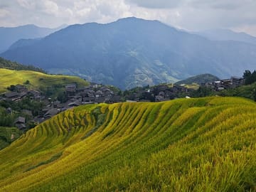 Longji rice terraces