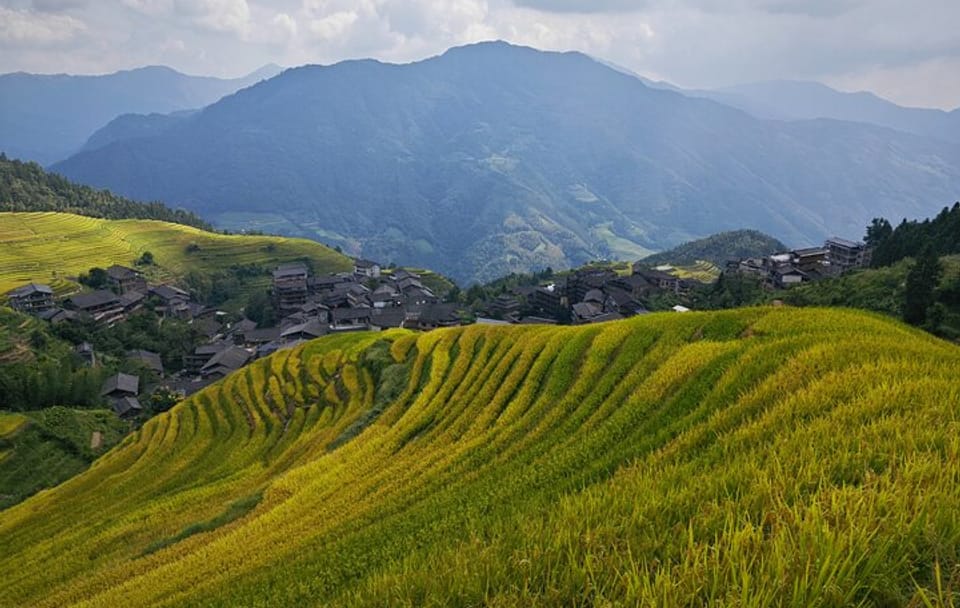 Longji Rice Terraces Dazhai Rice Terraces via ropeway Tour