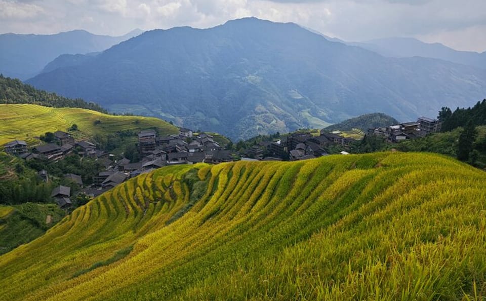 Longji Rice Terraces Tour with Scenic Ropeway in Guilin