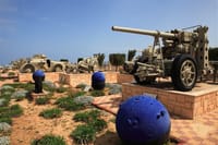 Alexandria : Private El Alamein War Tour from Alexandria 4