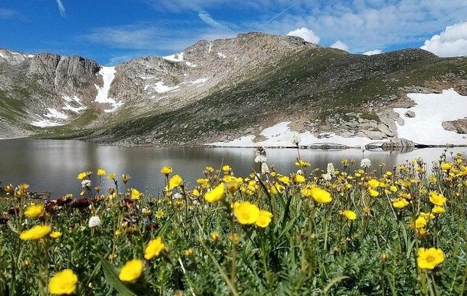 Small Group Tour from Denver to Mount Evans and Evergreen