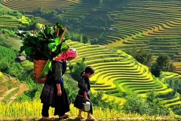 Hanoi to Sapa 2-Day Train Adventure with Village Exploration