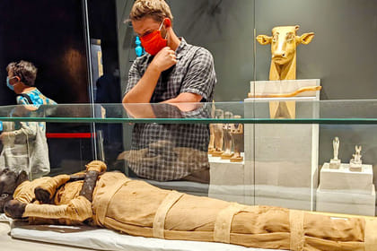 Private Tour of the National Museum of Egyptian Civilization and Cairo Citadel