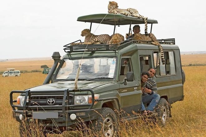 Masai mara game drive