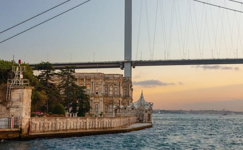 Bosphorus Cruise and Beylerbeyi Palace Tour in Istanbul
