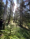 Mushroom Hunting 7