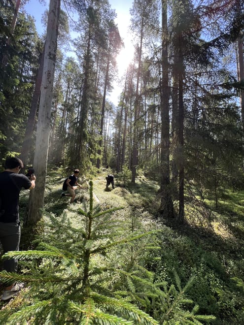 Mushroom Hunting 7
