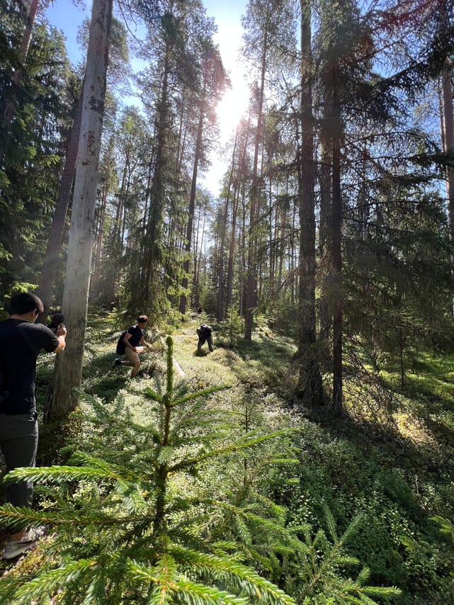 Mushroom Hunting 7
