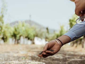 Wine Tasting Tour in Boscotrecase near Vesuvius from Naples