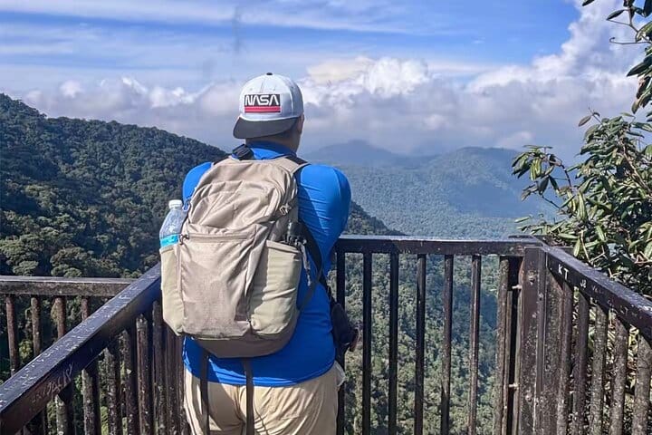 Cameron Highlands Day Tour from Ipoh with lavender garden and tea plantation