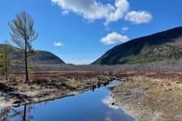 Self Guided GPS Audio Driving Tour Acadia NP From Hulls Cove VC 6