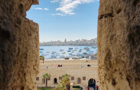 Alexandria History and Scenery Tour with Lunch Included