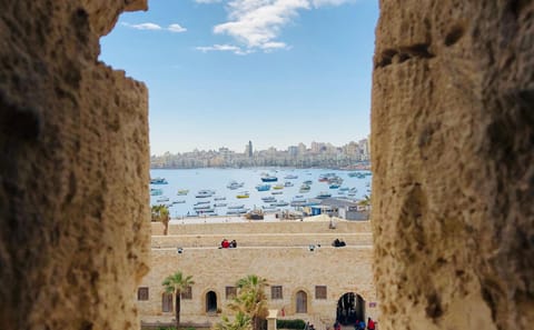 Alexandria History and Scenery Tour with Lunch Included