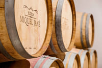 Viticulture and Wine-Tasting 3-Hour Trip from Barcelona 7