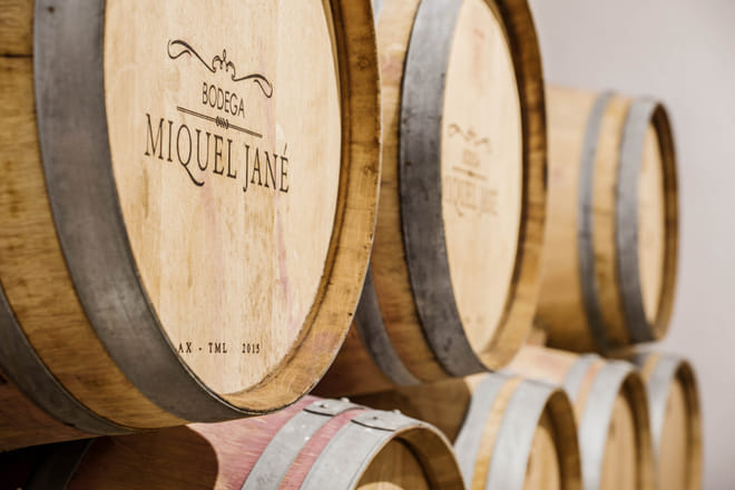Viticulture and Wine-Tasting 3-Hour Trip from Barcelona 7