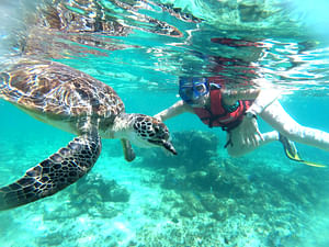 The Paradise Islands Tour From Riviera Maya