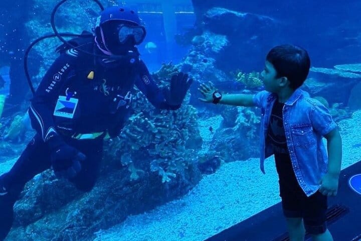 Dubai Aquarium + underwater Zoo & Penguin Cove