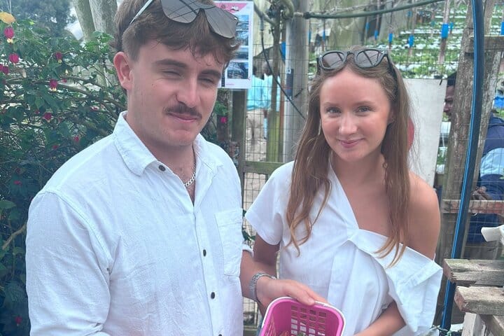 Cameron Highlands Day Tour from Ipoh with lavender garden and tea plantation