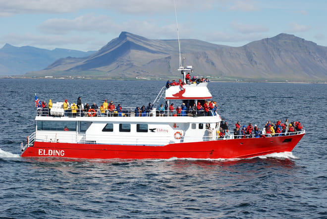 ATV & Whale Watching 2