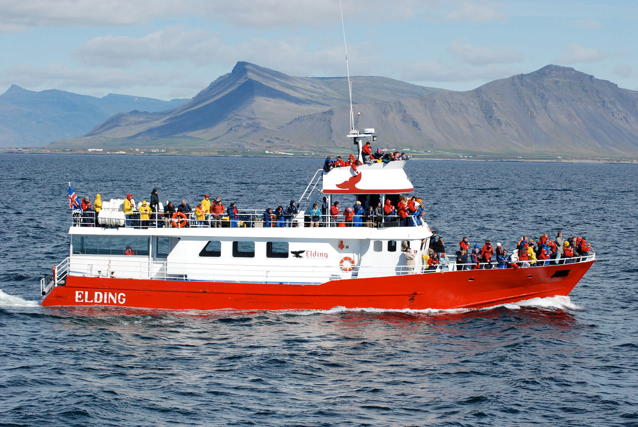 ATV & Whale Watching 2