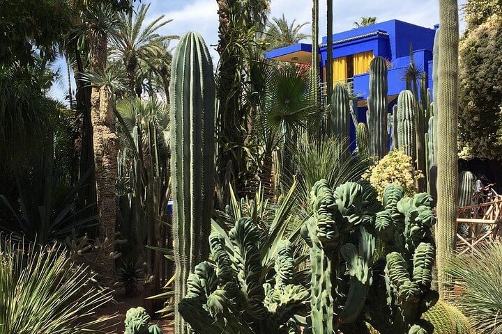 Marrakech City: Private half Day Sightseeing Tour