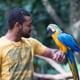Bird Park