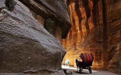 Full-Day Petra Tour from Dead Sea to Wadi Musa, Jordan