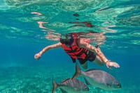 Alanya Pirate Boat Trip with Lunch And Free Soft Drinks 5