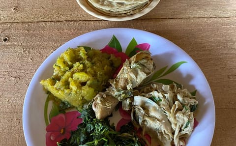 Maya Cultural Experience: Cooking and Art in Toledo, Belize