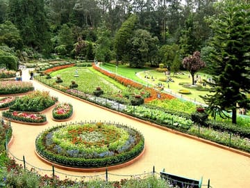Coimbatore to Ooty Tour with Hotel and Sightseeing Excursions