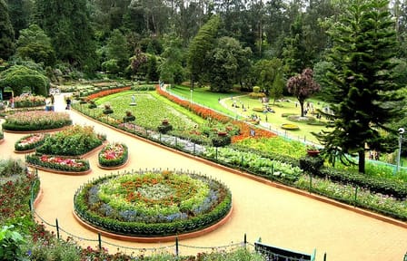 Coimbatore to Ooty Tour with Hotel and Sightseeing Excursions