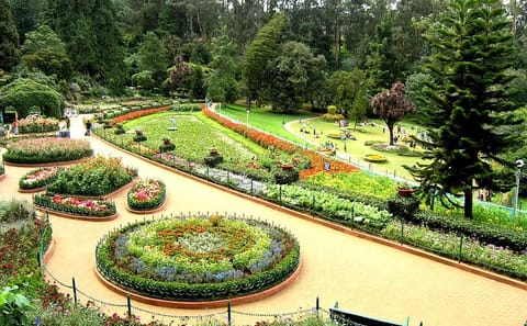 Coimbatore to Ooty Tour with Hotel and Sightseeing Excursions